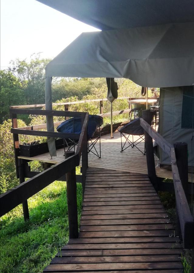 Chosen Glamping Tents Graskop Extérieur photo