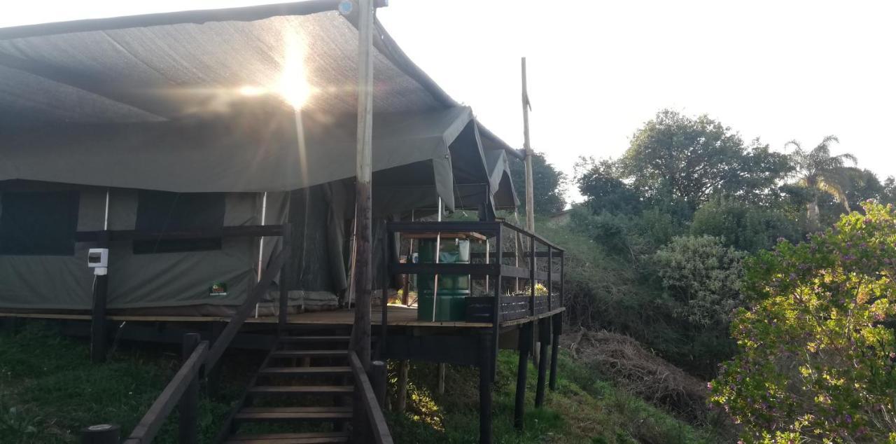 Chosen Glamping Tents Graskop Extérieur photo