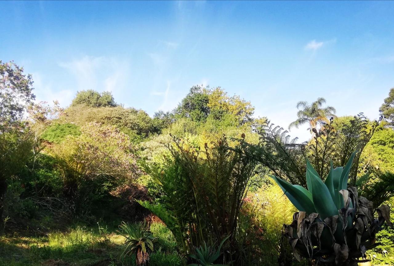 Chosen Glamping Tents Graskop Extérieur photo