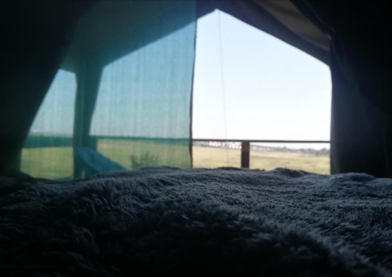 Chosen Glamping Tents Graskop Extérieur photo