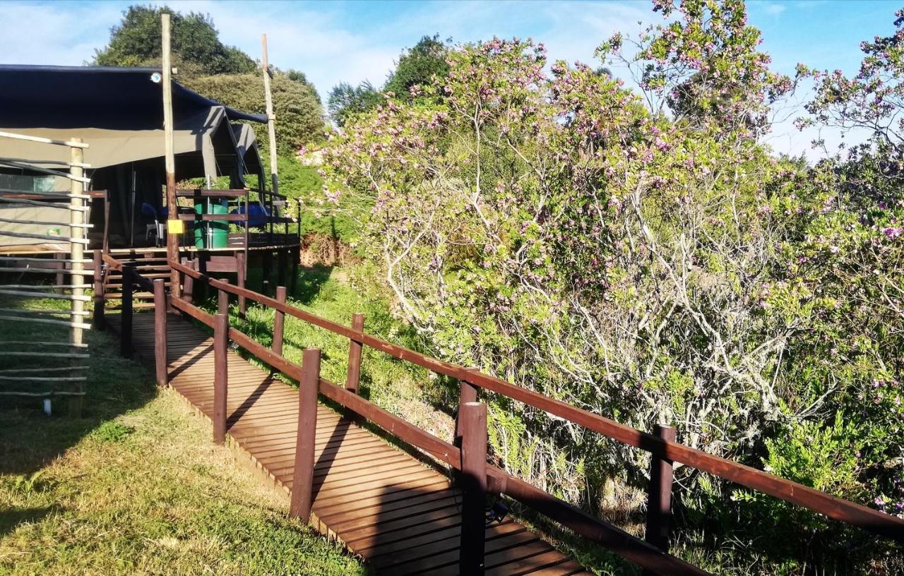 Chosen Glamping Tents Graskop Extérieur photo