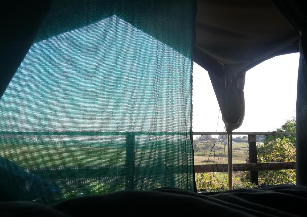 Chosen Glamping Tents Graskop Extérieur photo