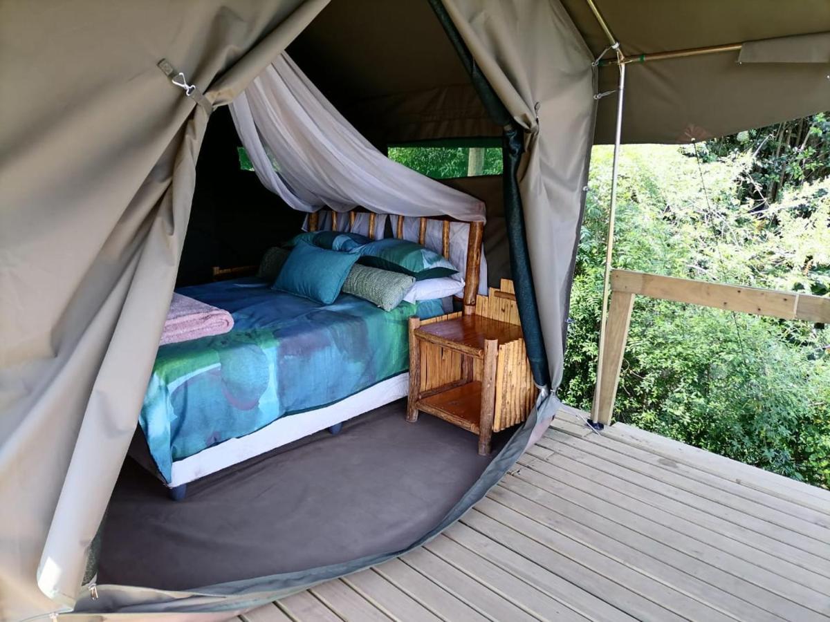 Chosen Glamping Tents Graskop Extérieur photo