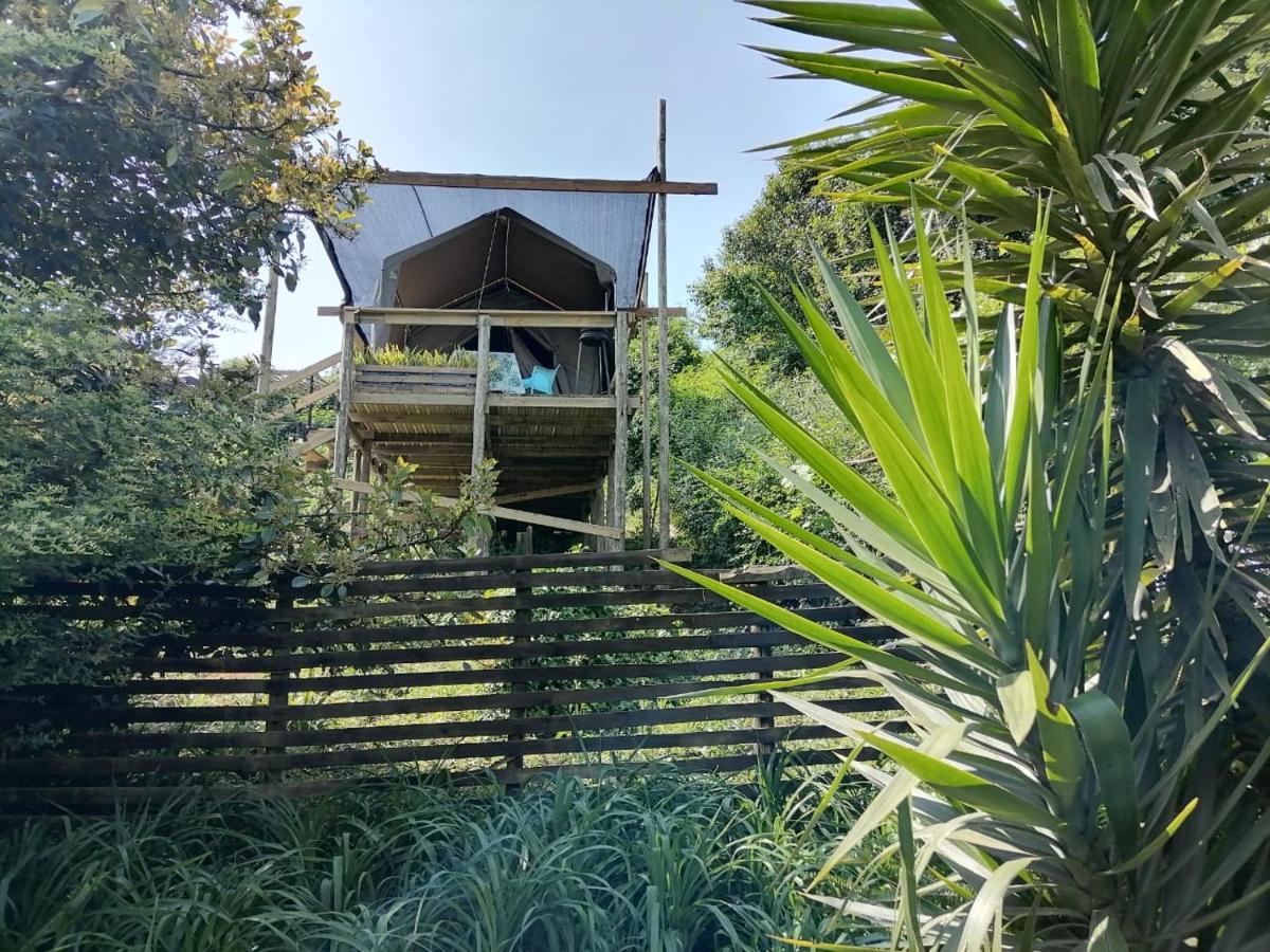 Chosen Glamping Tents Graskop Extérieur photo