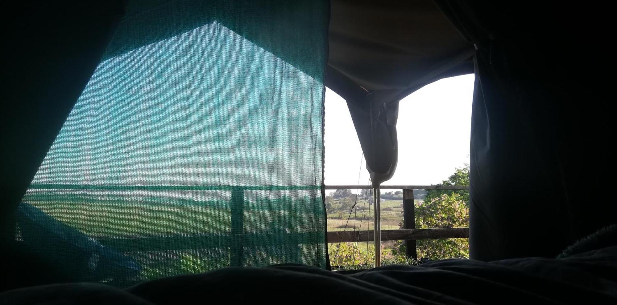 Chosen Glamping Tents Graskop Extérieur photo